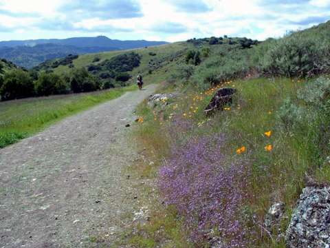 Fortini Trail, Santa Teresa Park