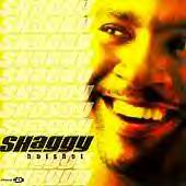 Shaggy