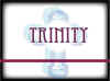 trinity-Web-2.jpg (130822 bytes)