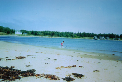 coastline