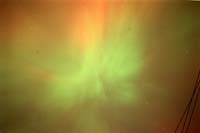 Aries of a different colour