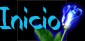 botonazul-inicio.jpg (11850 bytes)