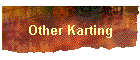 Other Karting