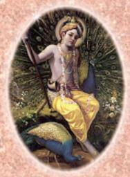 Krishna es recibido en Vrindavan por los pavos reales