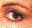 Ojo.jpg (1431 bytes)
