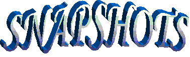 snapshot title