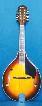 Washburn M-1S