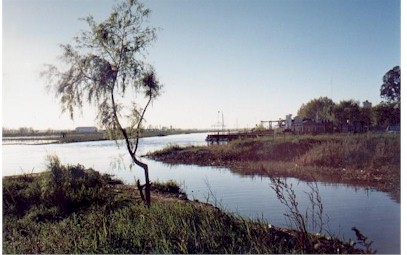 Paisaje ribereo