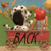 back