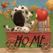 home