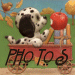 photos
