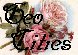 GeoCities