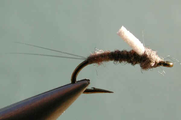 Rimsemblance.bmp (720054 bytes)