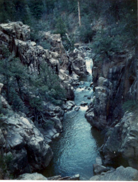 RioLupe.jpg (69237 bytes)