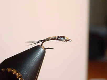 baetis nymph.jpg (13523 bytes)