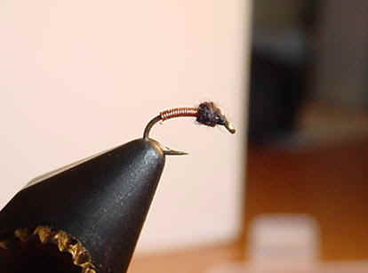 brassie.jpg (14629 bytes)