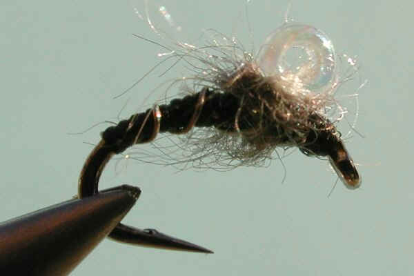 bubble midge.bmp (720054 bytes)