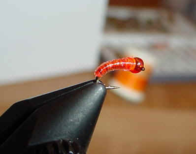 darkOJ.jpg (16006 bytes)