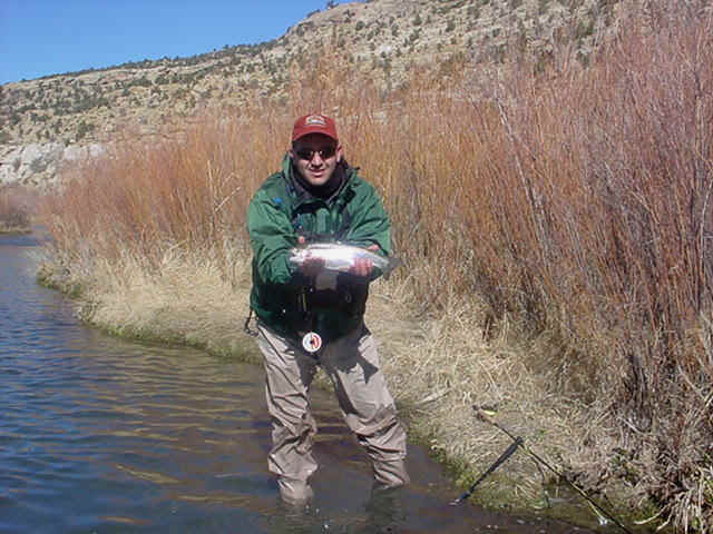 davefish.jpg (45591 bytes)