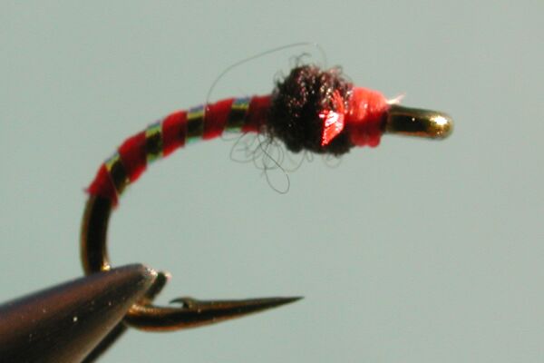 desert storm.jpg (14836 bytes)