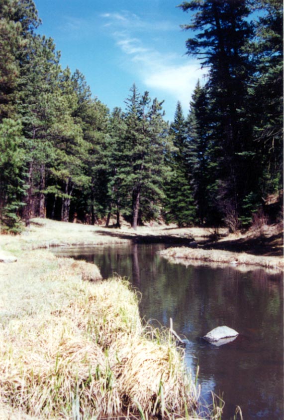 eastfork.jpg (109115 bytes)