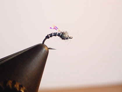 grayand black KF emerger.jpg (11246 bytes)