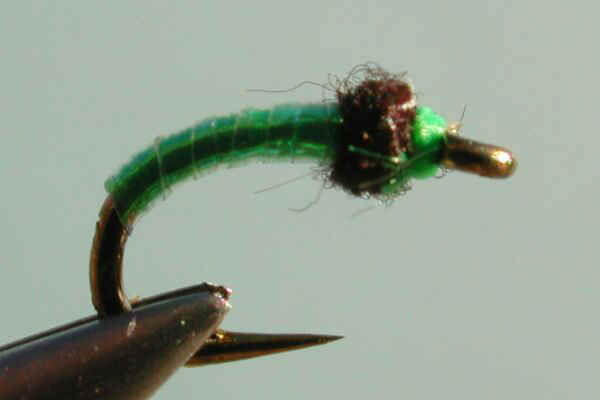 greenDS.jpg (15719 bytes)