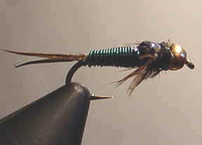 grnjohn.jpg (10971 bytes)