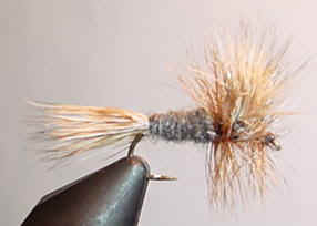 grywulf.jpg (12830 bytes)