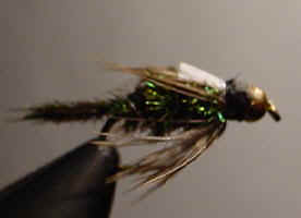 jmzugbug.jpg (10670 bytes)
