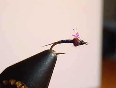 johnny flash.jpg (12891 bytes)