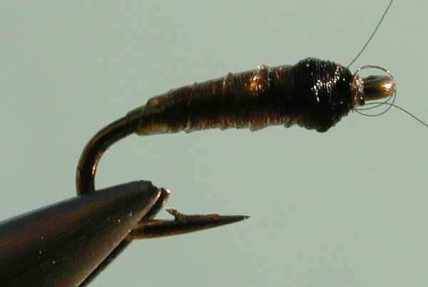 latexpups.bmp (725454 bytes)