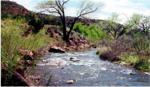 lwrjemez.jpg (60661 bytes)