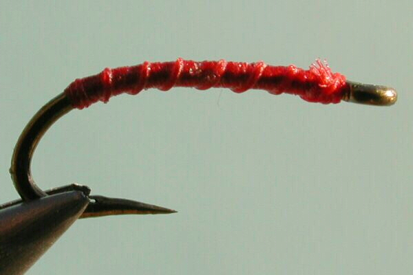 midgelarva.jpg (128348 bytes)