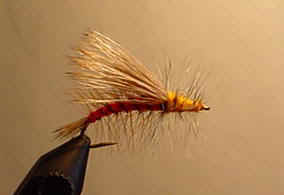 orngstmulator.jpg (11527 bytes)