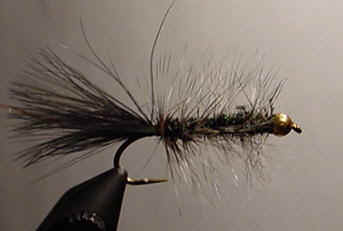 peacockwooly.jpg (15400 bytes)