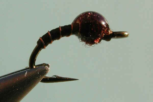 poxy midge.bmp (720054 bytes)