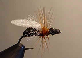 pwrant.jpg (11161 bytes)