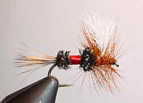 roylwff.jpg (14088 bytes)