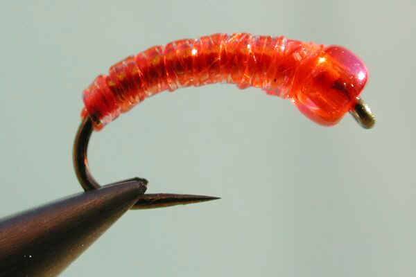 sparkleoj.jpg (14660 bytes)