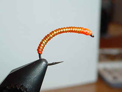 sparkleworm.jpg (15769 bytes)