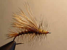 yellowstmlator.jpg (13663 bytes)