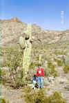 El Saguaro