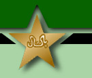 Pakistan Cricket Logo