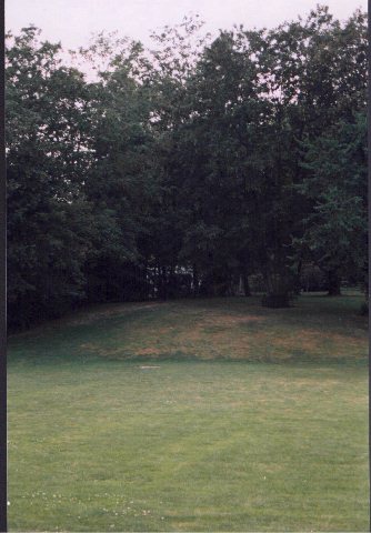 Academy Field