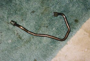 The culprit!