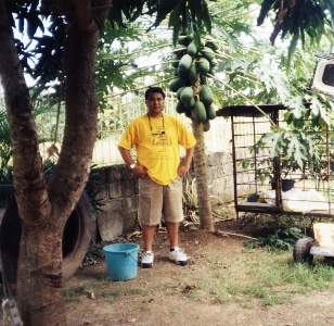 aj at papaya tree