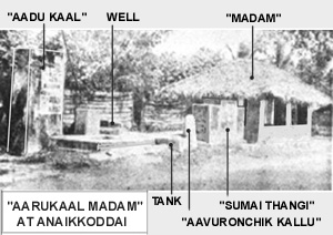 Arukal Madam - A View