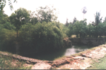 yamuna_eri_2s.png (29675 bytes)