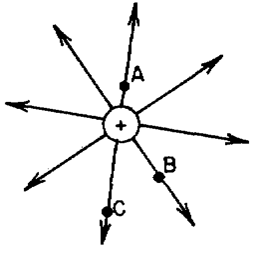 U6ExamImage1.gif (4970 bytes)